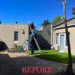 WhatsApp Image 2023-08-18 at 13.22.55